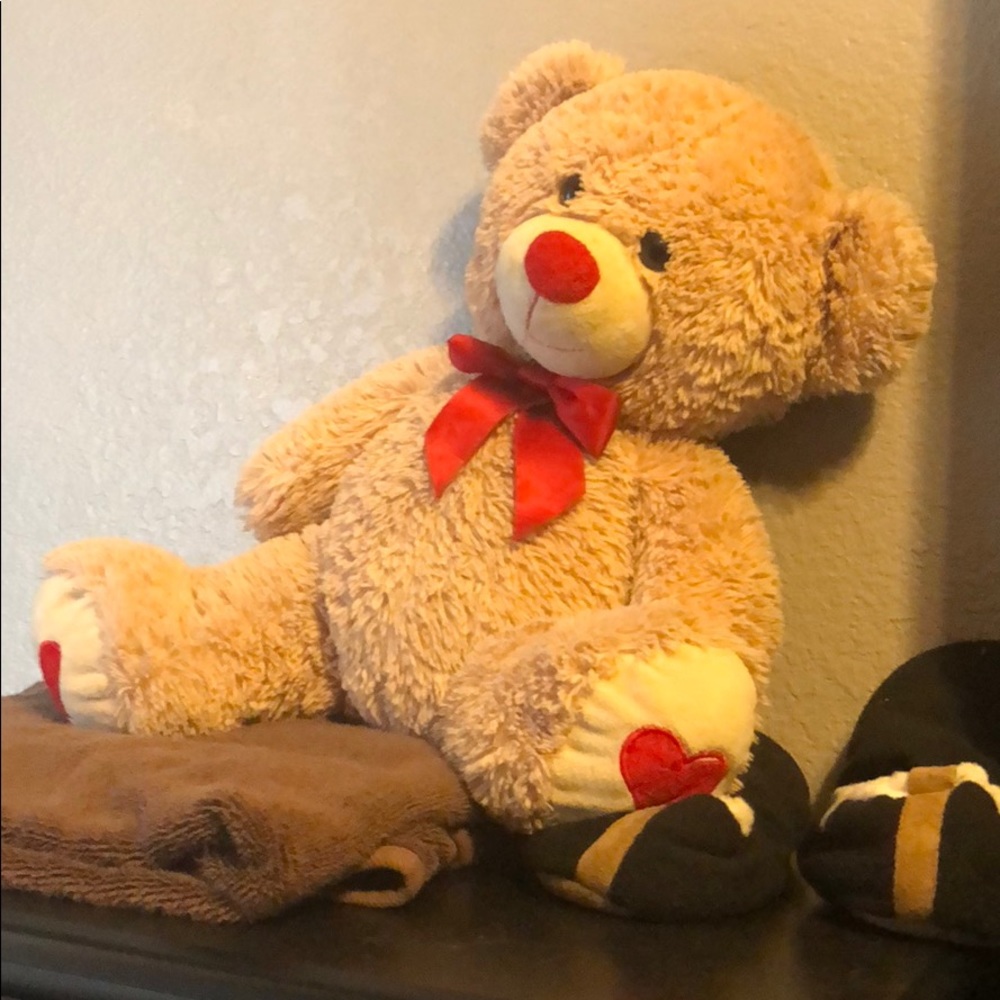 Teddy bear